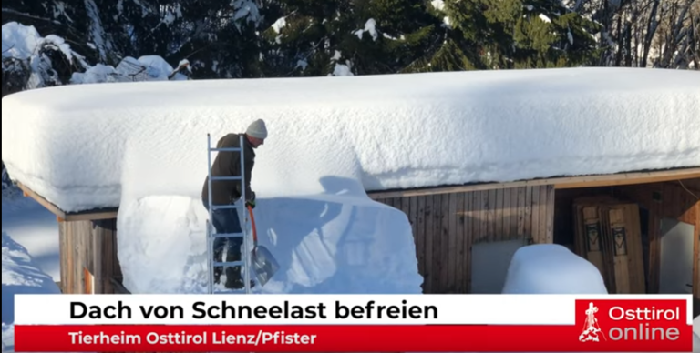 Tierfreunde befreiten Dach vom Schnee